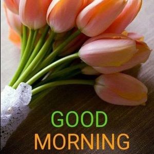 Meet your Posher, Debbiann